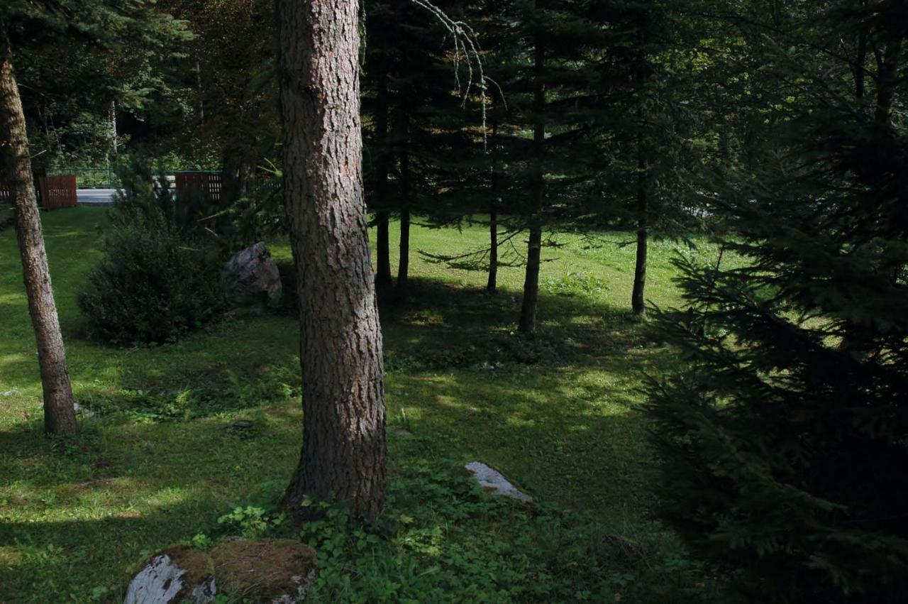 Orli Hnizdo Villa Černý Dŭl Exterior foto