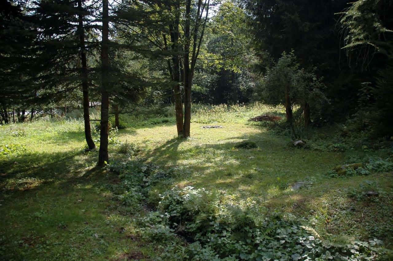 Orli Hnizdo Villa Černý Dŭl Exterior foto