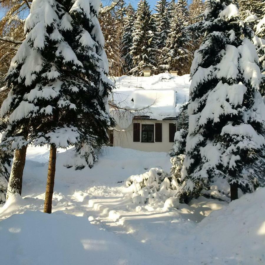 Orli Hnizdo Villa Černý Dŭl Exterior foto